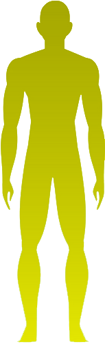 Corpo humano