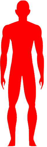 Corpo humano