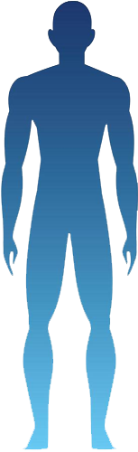 Corpo humano