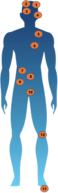Corpo humano
