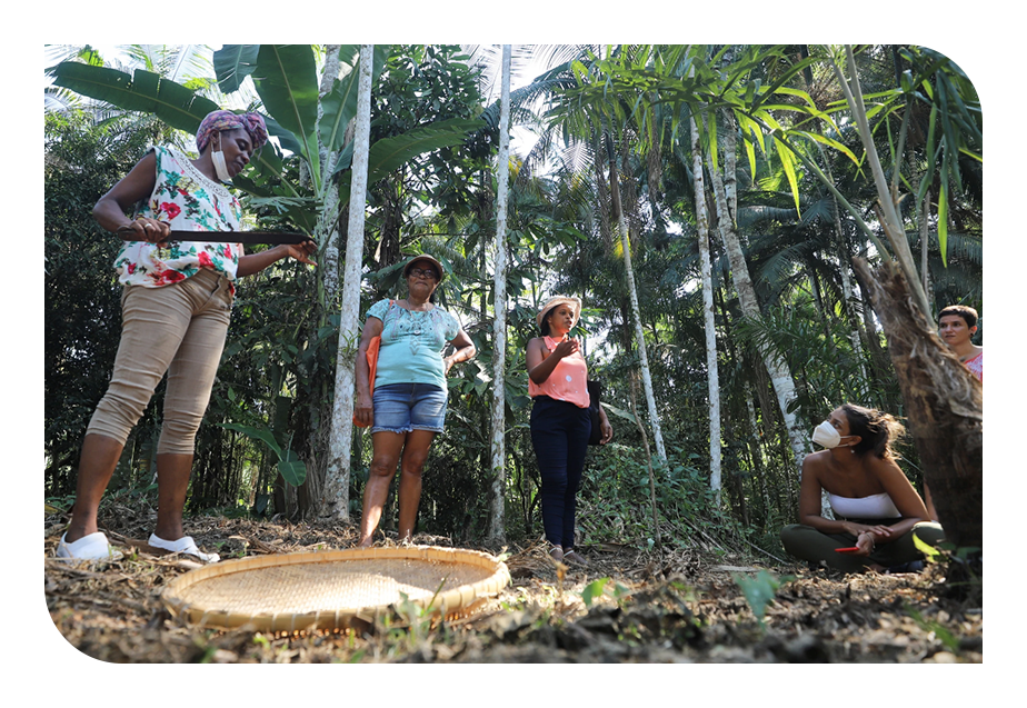 Cinco mulheres em roda, em pé, na mata. 
