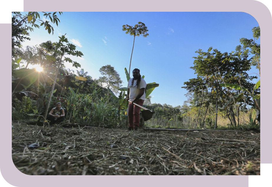 Homem com uma enxada arando o solo de um terreno em meio à mata.
