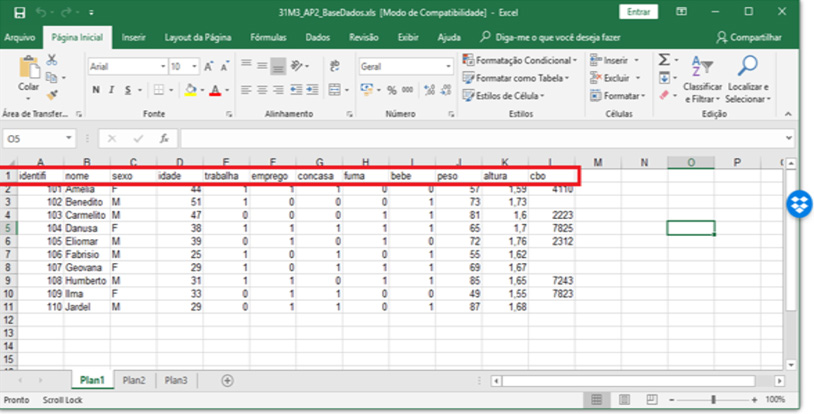 Planilha de excel. Na primeira e segunda colunas estão os números de identificação e os nomes das pessoas, um em cada linha. Nas colunas seguintes, os dados são sexo, idade, se trabalha, se tem emprego, se fuma, se bebe, peso, altura e código da classificação brasileira de ocupações (CBO) referente ao trabalho que desempenha. 